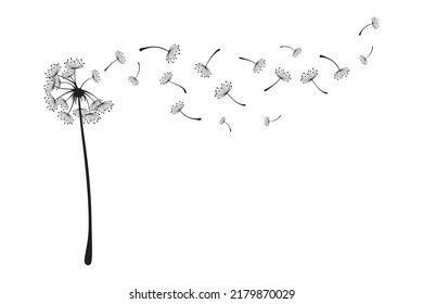 Dandelion vector illustration, sticker, tattoo, flat design