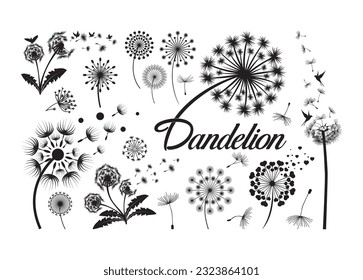 Dandelion Vector For Print, Dandelion Clipart, Dandelion vector Illustration