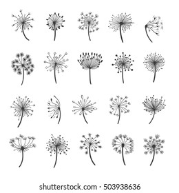 Dandelion vector silhouettes. Hand drawn dandelions with seeds icons