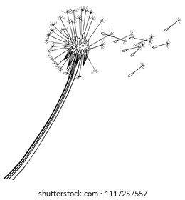 Dandelion in a vector style isolated. Full name of the plant: dandelion. Vector flower for background, texture, wrapper pattern, frame or border.