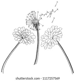 Dandelion in a vector style isolated. Full name of the plant: dandelion. Vector flower for background, texture, wrapper pattern, frame or border.