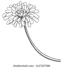 Dandelion in a vector style isolated. Full name of the plant: dandelion. Vector flower for background, texture, wrapper pattern, frame or border.