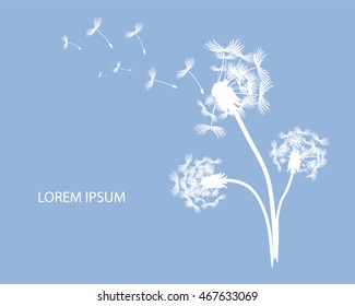 Dandelion Vectors on blue background