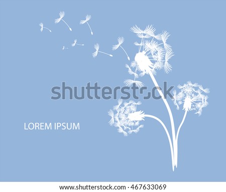 Dandelion Vectors on blue background