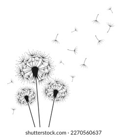 Dandelion wall decal,flow in the wind wall decal,dandelion wall stickers,dandelion flying wall decal children's room