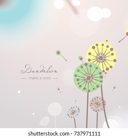 dandelion wallpaper