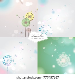 dandelion wallpaper collection