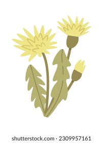 Dandelion Wildflowers Brunch Vector Illustration