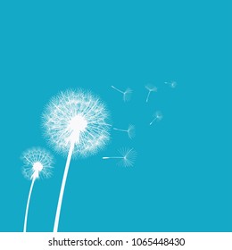 Dandelion in the wind