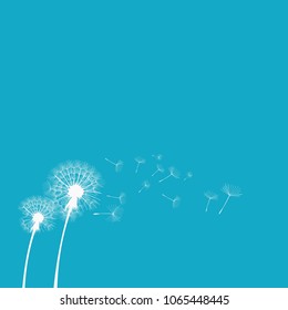 Dandelion in the wind