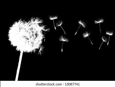 dandelion  in the wind