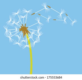 dandelion in the wind