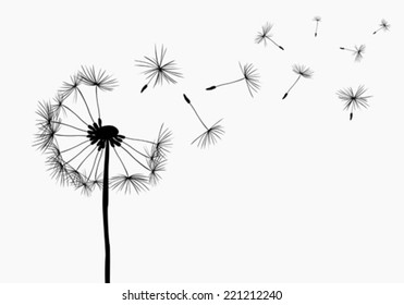 Silhouette Flying Dandelion Buds On White Stock Vector (Royalty Free ...