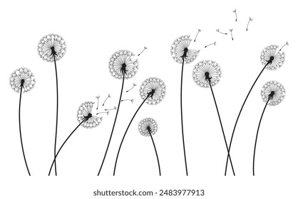 Fondo de viento de diente de león. Silueta negra con cogollos voladores de diente de león en blanco. Abstractas semillas voladoras. Gráficos decorativos para impresión. Diseño de escena floral