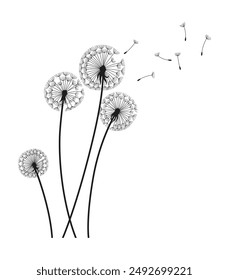 Fondo de viento de diente de león. Silueta negra con cogollos voladores de diente de león en blanco. Abstractas semillas voladoras. Gráficos decorativos para impresión. Diseño de escena floral