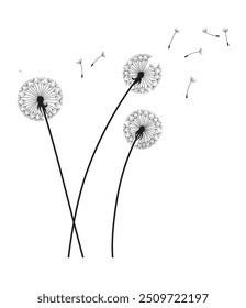 Fondo de soplo de viento de diente de león. Silueta negra con brotes de diente de león voladores en blanco. Abstractas semillas voladoras. Gráficos decorativos para imprimir. Diseño de escena floral