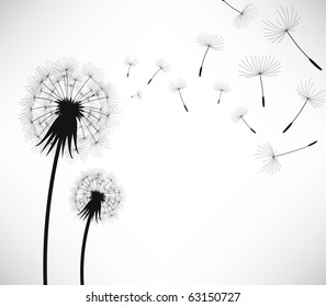 Dandelion Wind Blow Flower