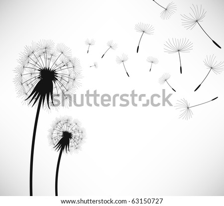 Dandelion Wind Blow Flower