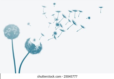 Dandelion in the wind. Vector background.