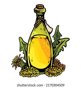 Dandelion wine cartoon bottle icon. Bottle jar outline comic style image with liquid drink and dandelion flowers. Hand drawn isolated lineart illustration for prints, designs, cards. Web and mobile
