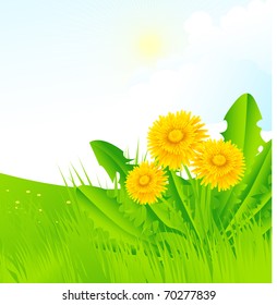 Dandelions