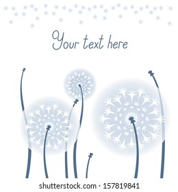 Dandelions. Background from dandelions.