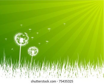 	Dandelions background