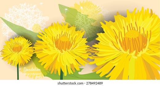Dandelions, banner, vector illustration