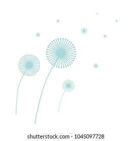 Dandelions.  Blue.  Transparent background in vector file.