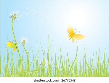 dandelions and butterflies