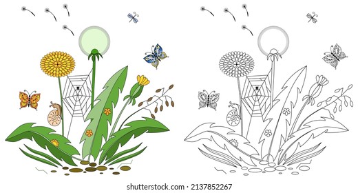 Dandelions and butterflies on a white background. Black contour drawing. Decorative element for design. Anti-stress coloring book for adults and children