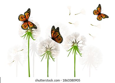 Dandelions with butterflies. Vector illustration
