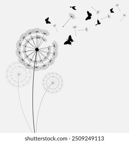 Dandelions and butterfly on the wall background. Floral with butterfly wedding invitation. Vector illustration