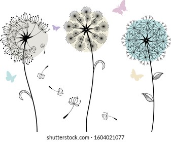 Dandelions and butterfly on the white background.