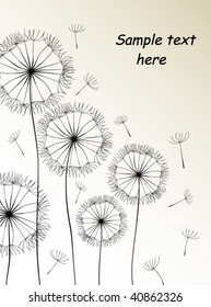 Dandelions card