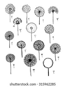 Dandelions collection, sketch fro your design. Vector illustration