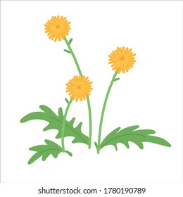 Vector Illustration Dandelions Leaves Flower Meadow Stock Vector ...