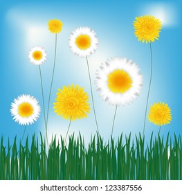 Dandelions and daisies in the green grass, spring theme