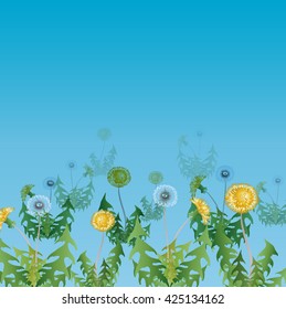 Dandelions - flowers, leaves and buds. Vector background. Use printed materials, signs, posters, postcards, packaging.