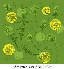 Dandelions Flowers Seamless Pattern.  Hand drawn sketches. Vector Illustration