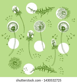 Dandelions Flowers Seamless Pattern.  Hand drawn sketches. Vector Illustration