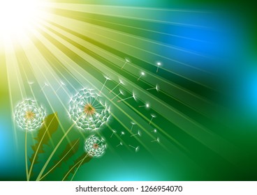 Dandelions with flying fluff on the blue sky and  sunlight background. Vector Illustrations