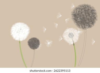 Dandelions. Flying dandelions. Line sketche art dandelions. Vector illustration.
