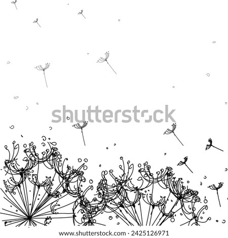 Dandelions and flying seeds at the bottom of the composition on a white background. hand drawing, contour drawing, black lines, card, invitation, vector design, illustration, 10 EPS