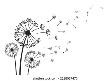 Dandelions con semillas voladoras, siluetas de flores de diente de león. Flores de bola de flores de primavera florecientes dibujos vectoriales de doodles. Silhouette de la naturaleza ondulada de Dandelion