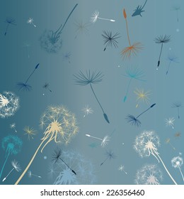dandelions flying in the wind