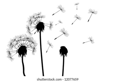 dandelions (for more see my port)