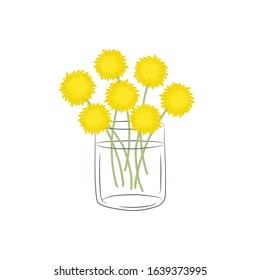 Dandelions in a glass cup. Bouquet of yellow spring flowers. Floral composition. Vector illustration on a white background