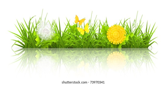 Dandelions and grass, 10eps