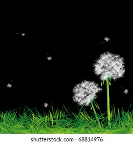 Dandelions and grass in the night, abstract art